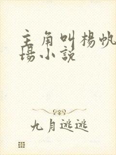 主角叫杨帆的官场小说