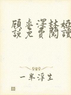 顾睿泽林娅楠小说免费阅读最新章节