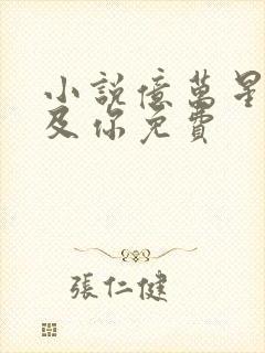 小说亿万星辰不及你免费