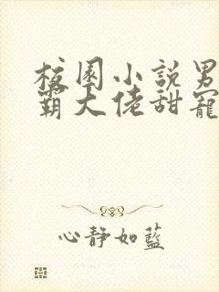 校园小说男主校霸大佬甜宠文