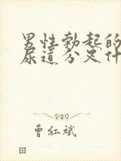 男性勃起的时候尿道分叉什么原因