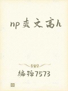 np爽文高h