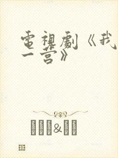 电视剧《我的特一营》封面