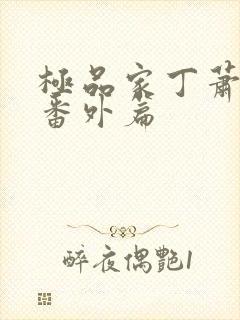 极品家丁萧夫人番外篇