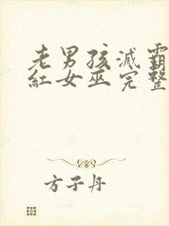 老男孩灭霸和绯红女巫完整版播放