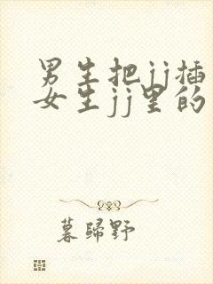 男生把jj插入女生jj里的视频