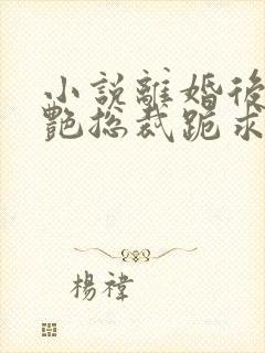 小说离婚后,冷艳总裁跪求复婚完整版