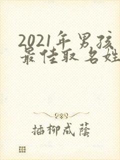 2021年男孩最佳取名姓陈封面