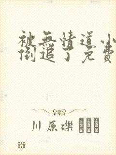 被无情道小师弟倒追了免费阅读笔趣阁