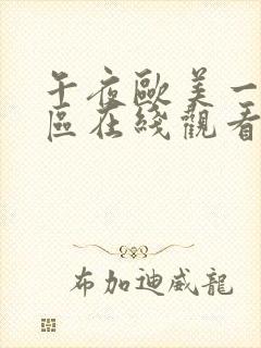 午夜欧美一区二区在线观看封面