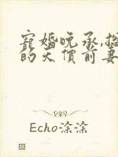 宠婚晚承,总裁的天价前妻