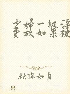 少妇一级淫片免费放如果被