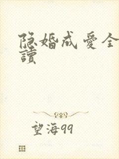 隐婚成爱全文阅读