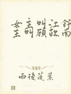 女主叫江舒棠男主叫顾政南的小说