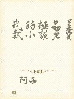 我的极品美女总裁小说免费阅