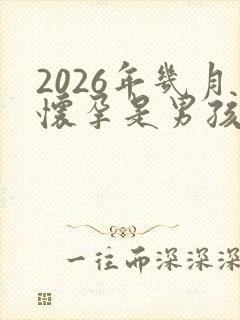 2026年几月怀孕是男孩还是女孩