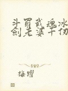 斗罗武魂冰火双剑老婆千仞雪