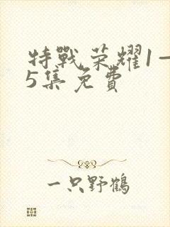 特战荣耀1—45集免费