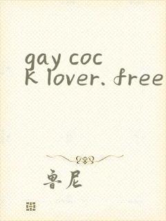 gay cock lover. free porn tube videos封面