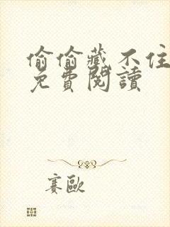 偷偷藏不住完本免费阅读