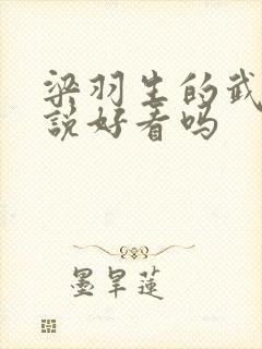 梁羽生的武侠小说好看吗