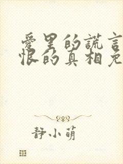 爱里的谎言,仇恨的真相免费观看全集