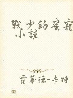 战少的蜜宠娇妻 小说