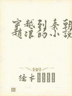 穿越到秦朝太子赵浪的小说