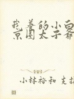 我养的小白脸是京圈太子爷短剧下载封面