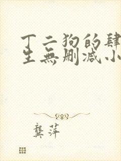 丁二狗的肆意人生无删减小说免费