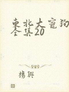 东北大灶狗儿娘全集20封面