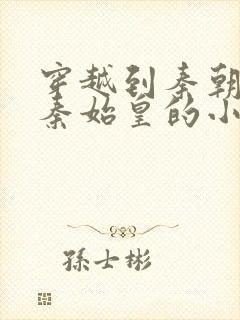 穿越到秦朝帮助秦始皇的小说