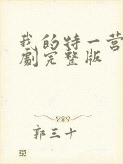 我的特一营电视剧完整版封面