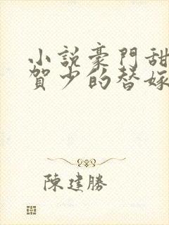 小说豪门甜宠:贺少的替嫁新娘