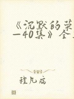 《沉默的荣耀1—40集》全集免费观看