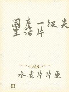 国产一级夫妻性生活片封面