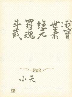 斗罗绝世:我的武魂元素宝典免费阅读