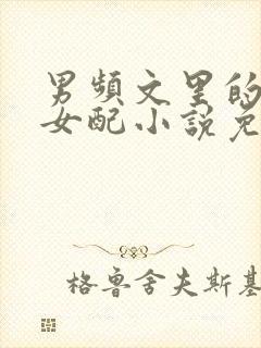 男频文里的恶毒女配小说免费阅读