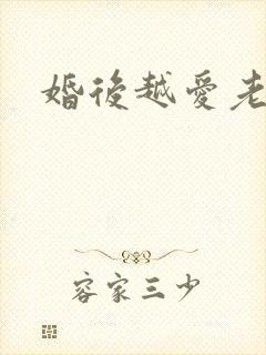 婚后越爱老公封面