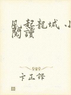 风起龙城 小说阅读