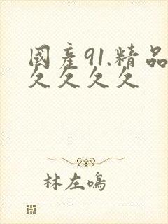 国产91.精品久久久久封面