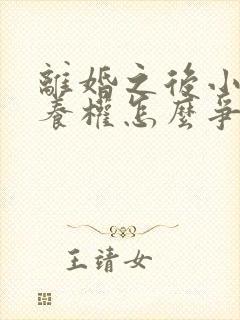 离婚之后小孩抚养权怎么争取