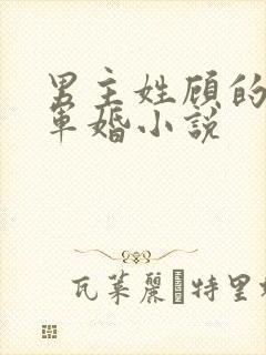 男主姓顾的所有军婚小说
