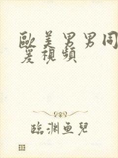 欧美男男同性做爰视频