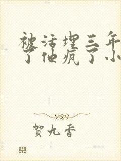 被活埋三年我死了他疯了小说封面