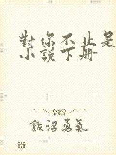 对你不止是喜欢小说下册