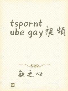 tsporntube gay视频