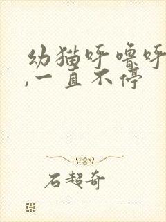 幼猫呼噜呼噜的,一直不停