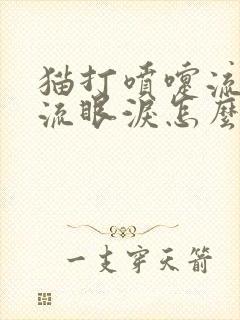 猫打喷嚏流鼻涕流眼泪怎么回事