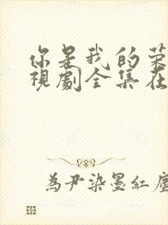 你是我的荣耀电视剧全集在线观看免费播放